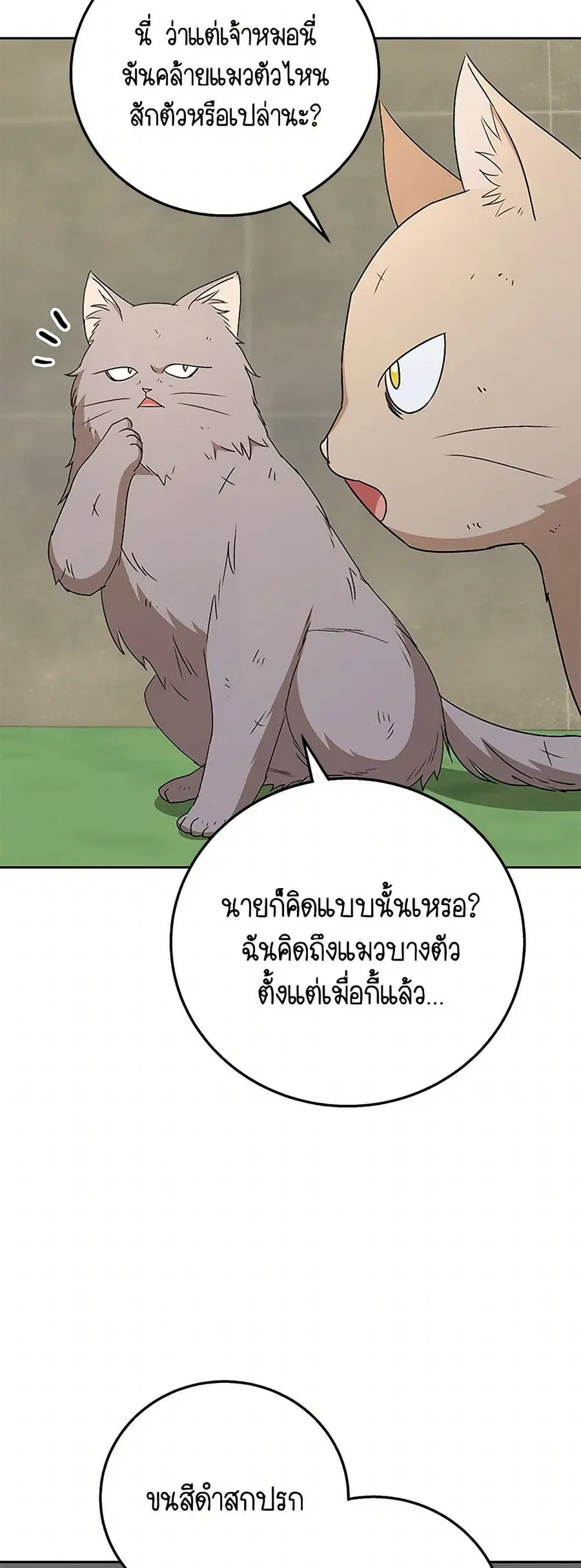Hello! Veterinarian! ตอนที่ 77 หน้า 3
