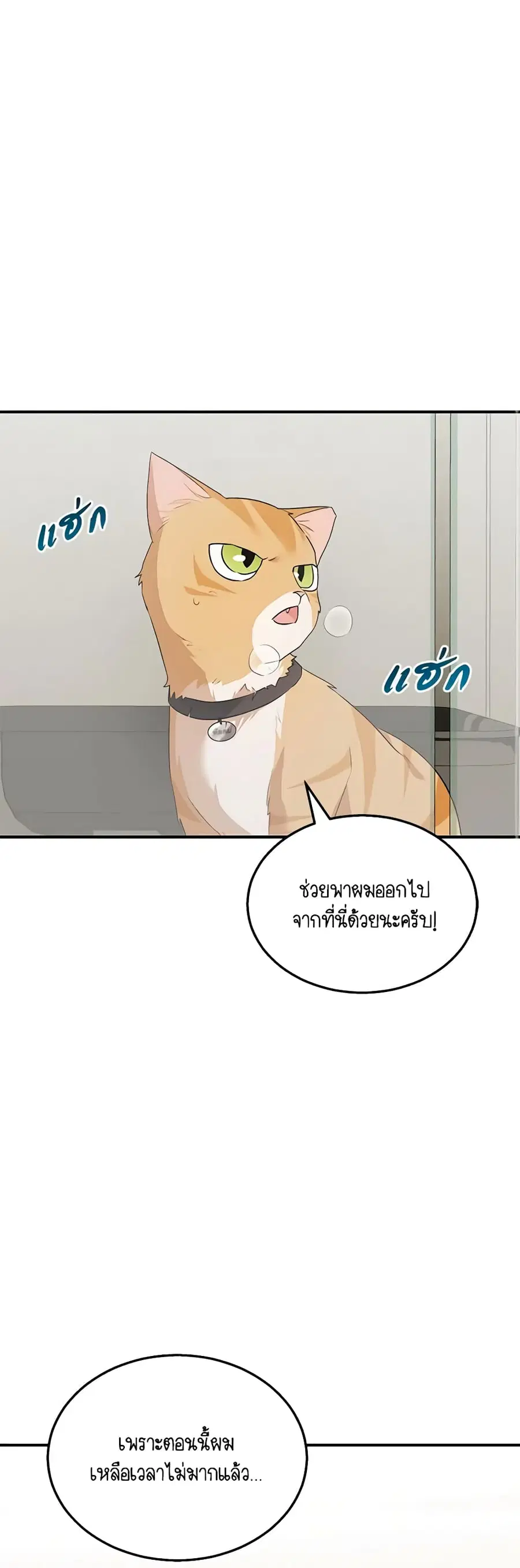 Hello! Veterinarian! ตอนที่ 8 หน้า 1
