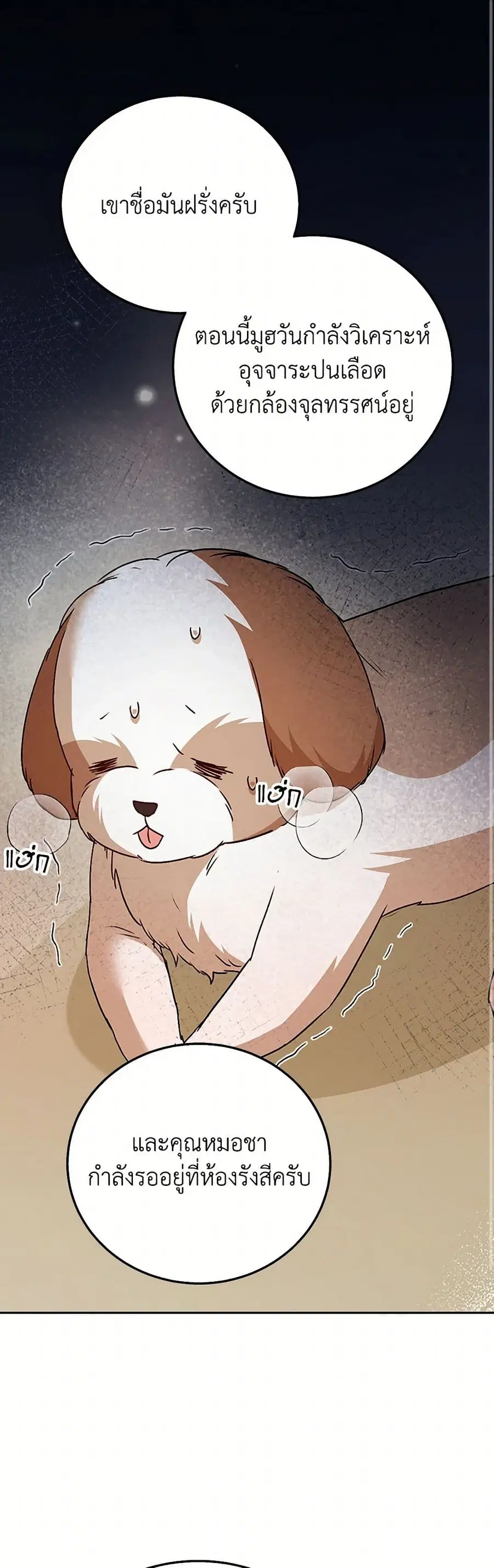 Hello! Veterinarian! ตอนที่ 80 หน้า 2