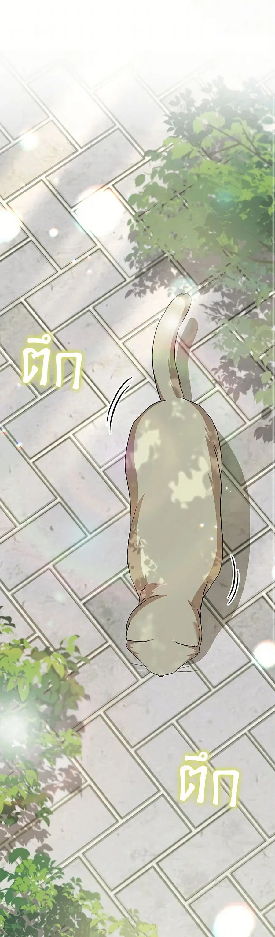 Hello! Veterinarian! ตอนที่ 81 หน้า 2