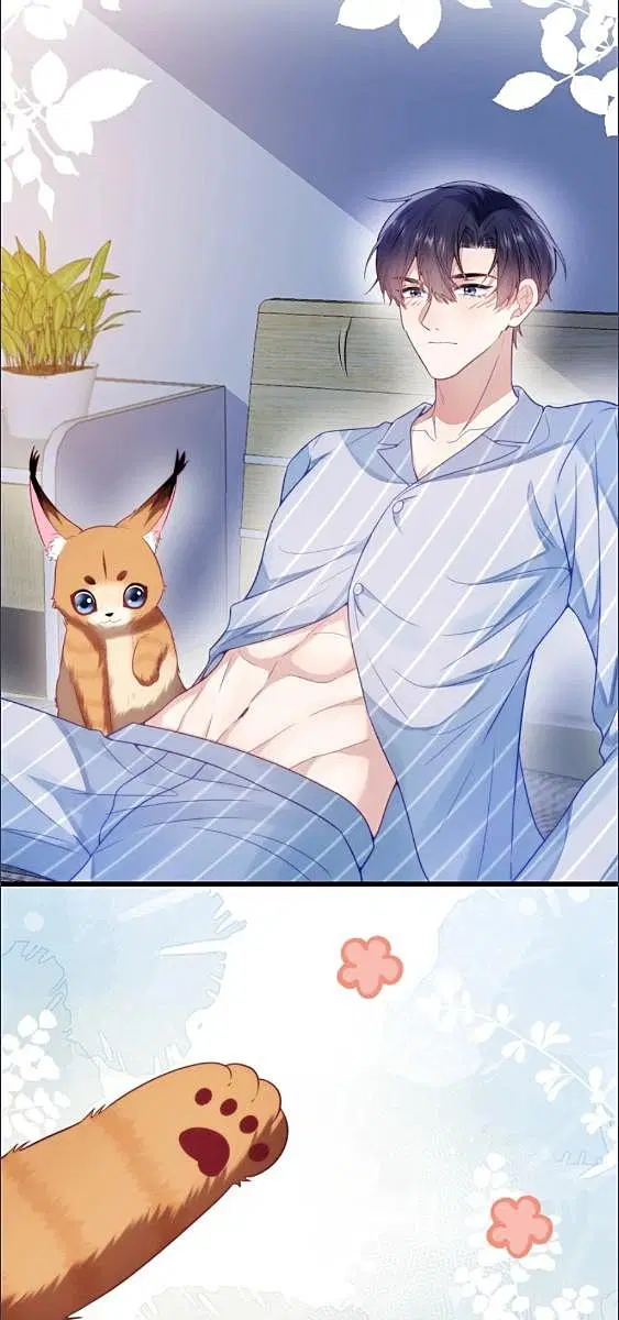Honor Student's Little Wildcat is too Titillating ตอนที่ 17 หน้า 2
