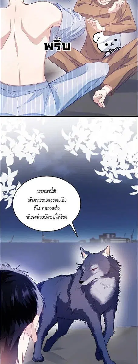 Honor Student's Little Wildcat is too Titillating ตอนที่ 19 หน้า 2
