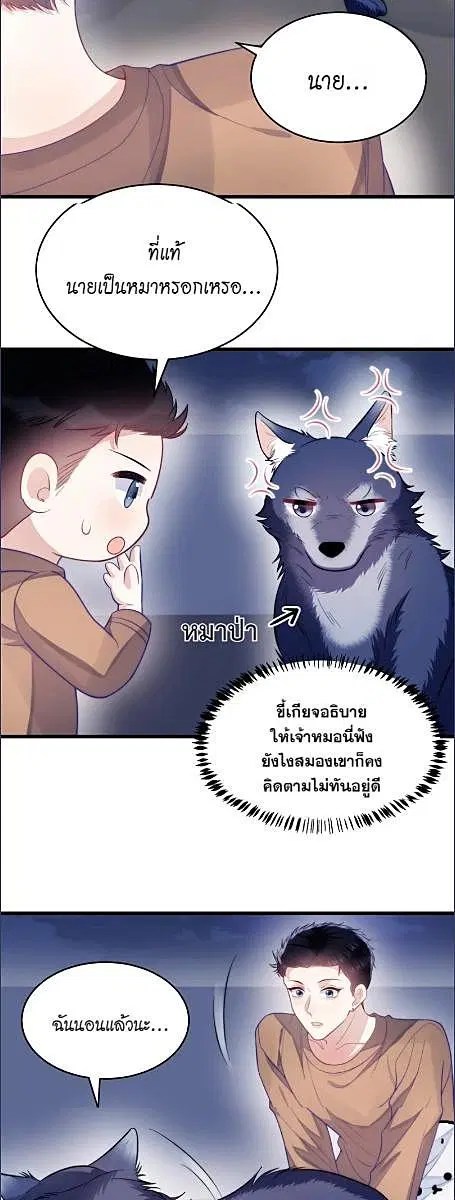 Honor Student's Little Wildcat is too Titillating ตอนที่ 19 หน้า 3
