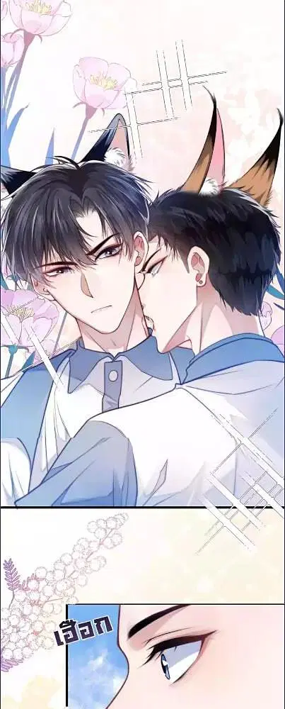 Honor Student's Little Wildcat is too Titillating ตอนที่ 2 หน้า 2