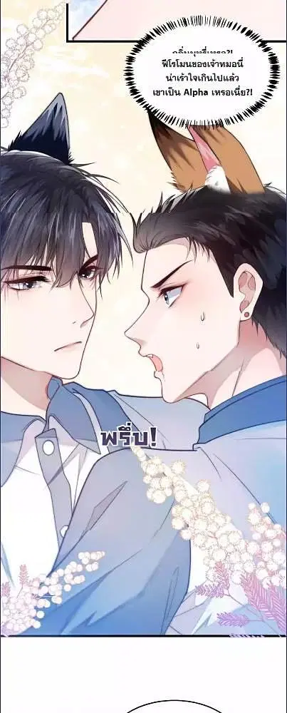 Honor Student's Little Wildcat is too Titillating ตอนที่ 2 หน้า 3