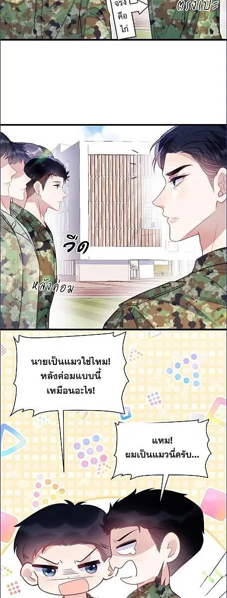 Honor Student's Little Wildcat is too Titillating ตอนที่ 20 หน้า 3