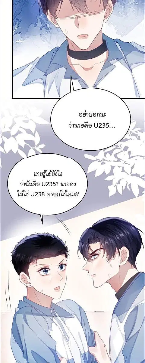 Honor Student's Little Wildcat is too Titillating ตอนที่ 25 หน้า 3