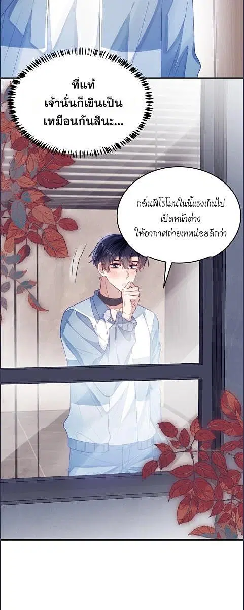 Honor Student's Little Wildcat is too Titillating ตอนที่ 27 หน้า 3