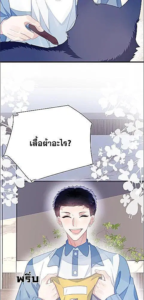 Honor Student's Little Wildcat is too Titillating ตอนที่ 33 หน้า 3