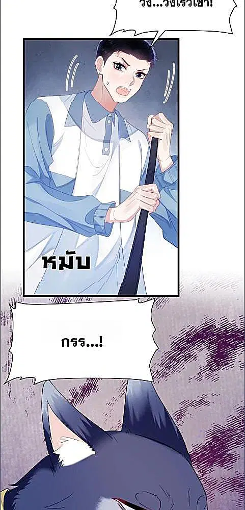 Honor Student's Little Wildcat is too Titillating ตอนที่ 34 หน้า 2