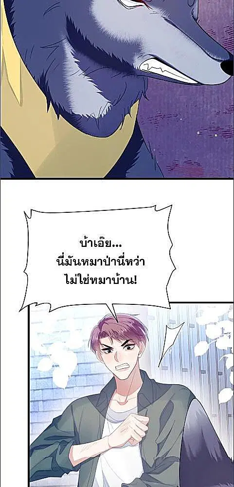 Honor Student's Little Wildcat is too Titillating ตอนที่ 34 หน้า 3