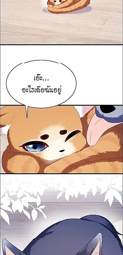 Honor Student's Little Wildcat is too Titillating ตอนที่ 35 หน้า 3
