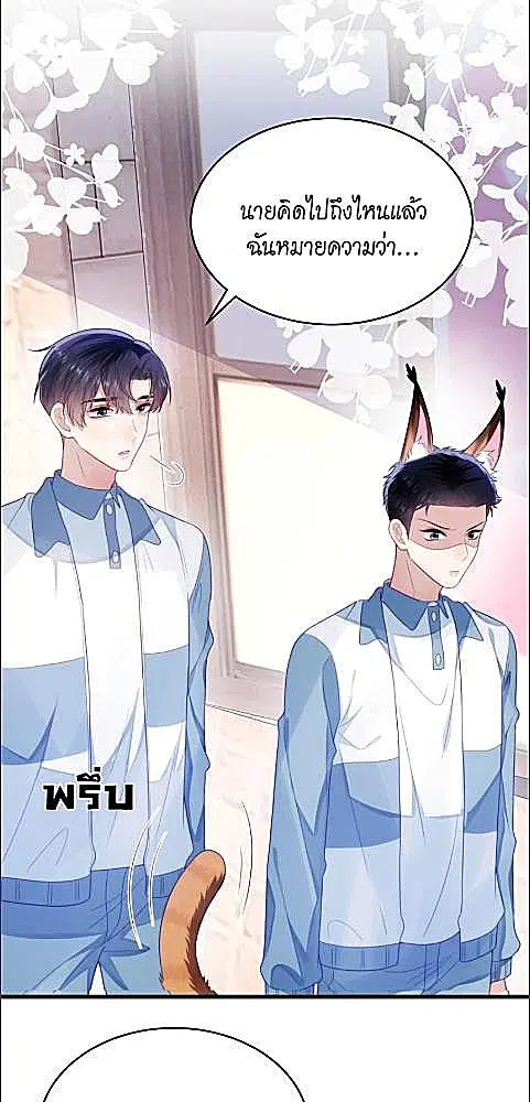 Honor Student's Little Wildcat is too Titillating ตอนที่ 37 หน้า 2