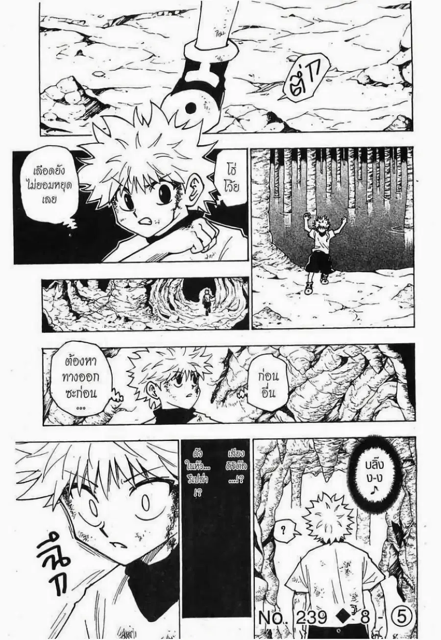 Hunter x Hunter ตอนที่ 239 หน้า 1