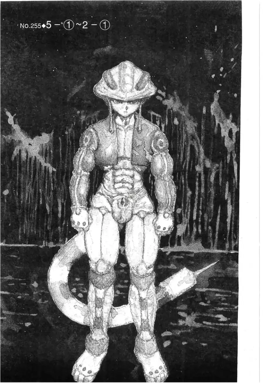 Hunter x Hunter ตอนที่ 255 หน้า 1