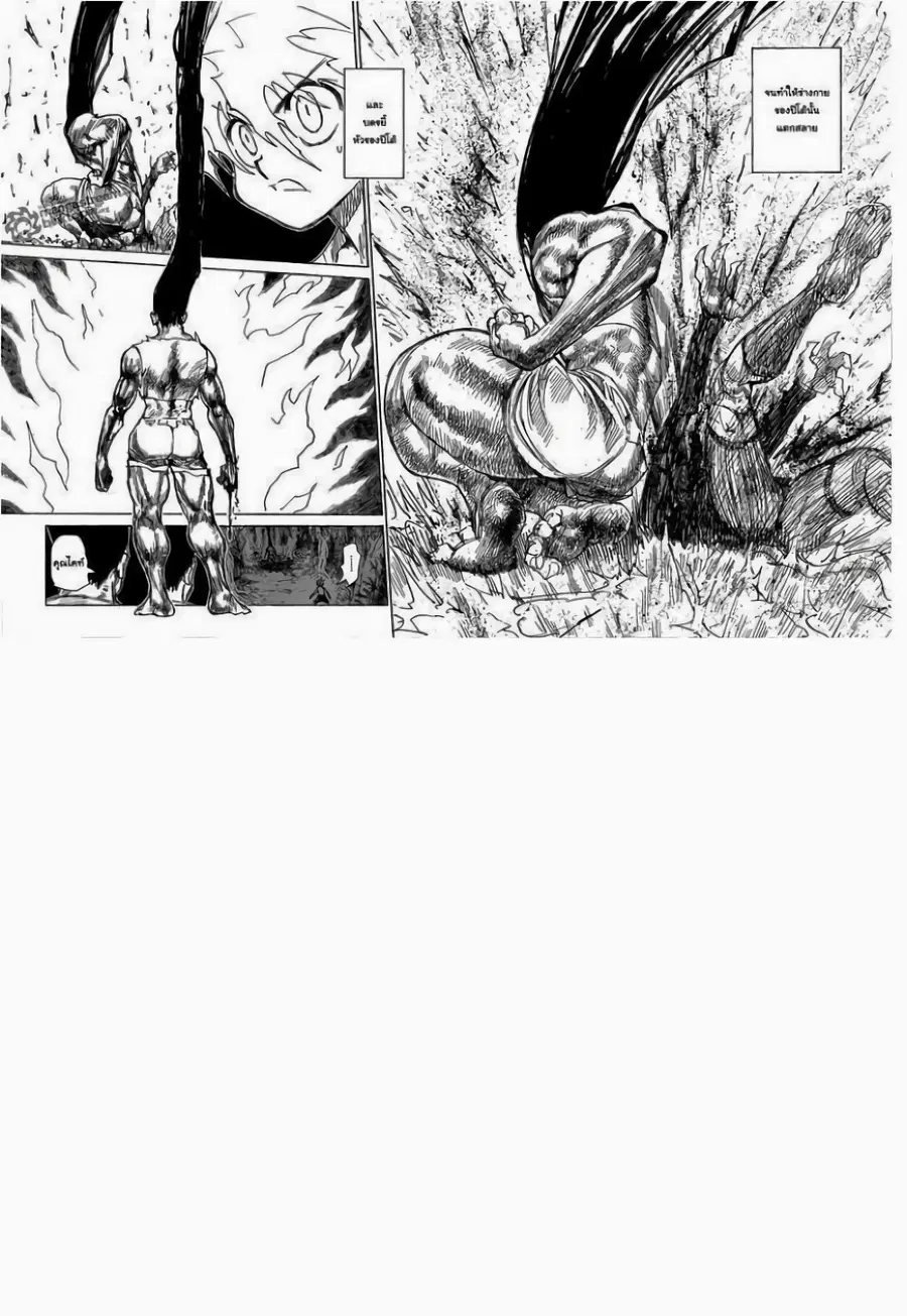 Hunter x Hunter ตอนที่ 307 หน้า 3