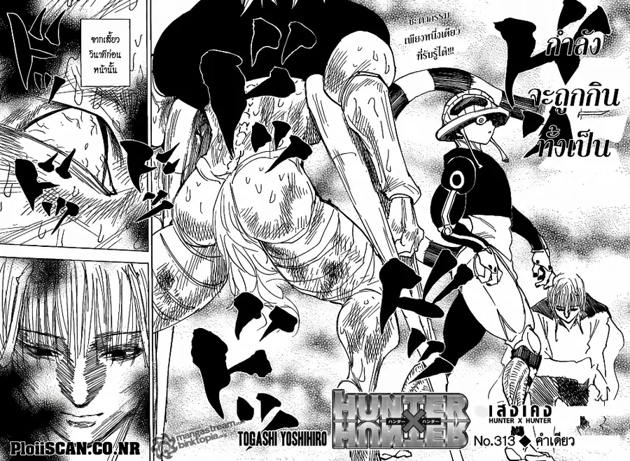 Hunter x Hunter ตอนที่ 313 หน้า 3