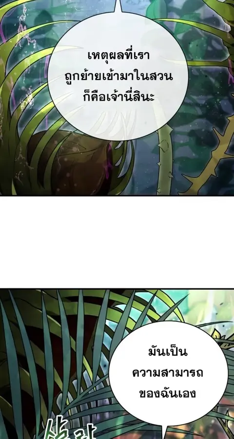 I Become a Legendary Arch Mage by Reading a Book ฉันกลายเป็นจอมเวทย์ใน ตอนที่ 24 หน้า 3