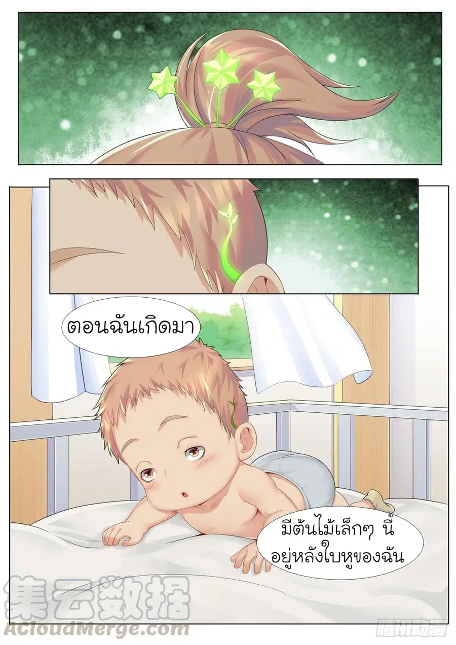 Immortal Boro ตอนที่ 4 หน้า 2