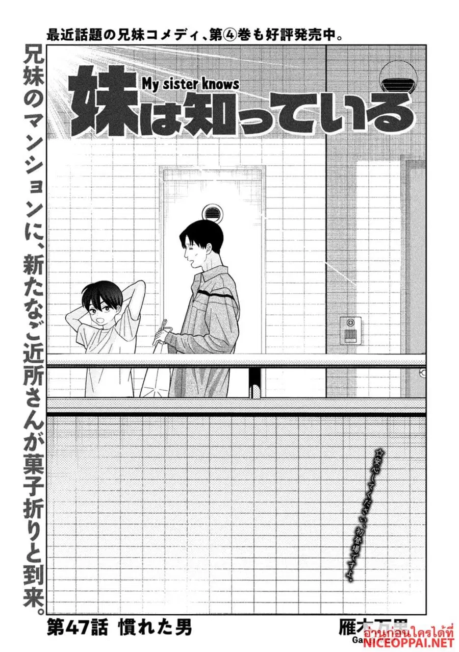 Imoto Wa Shitteiru ตอนที่ 47 หน้า 1