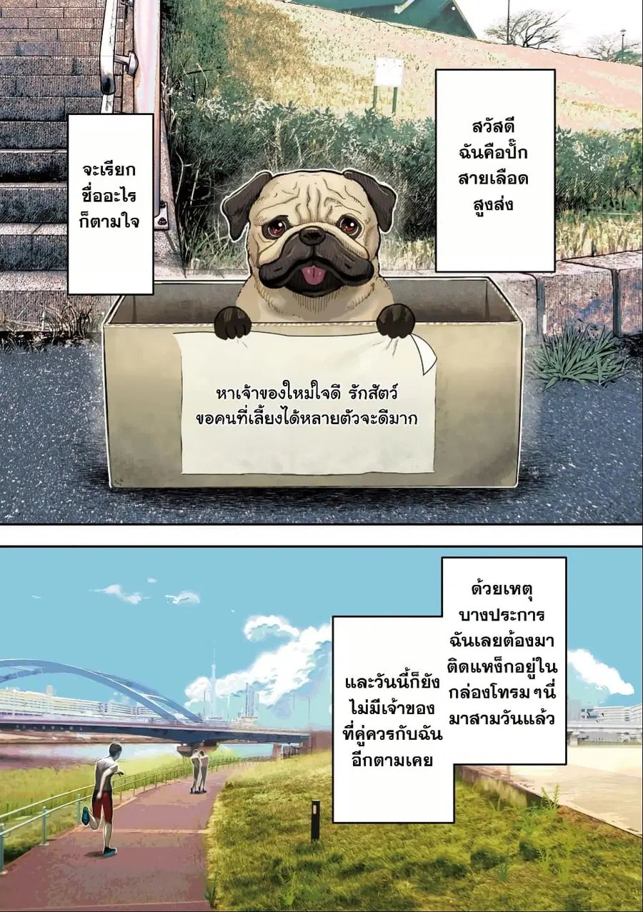 INNU – Girl Meets Dog ตอนที่ 1 หน้า 2