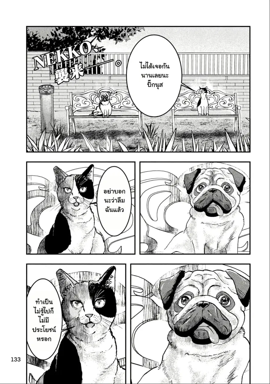 INNU – Girl Meets Dog ตอนที่ 10 หน้า 3