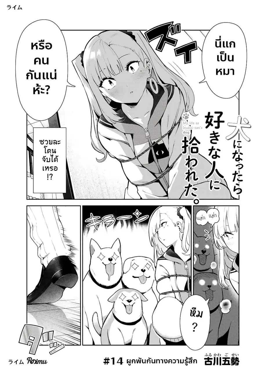 Inu ni Nattara Sukina Hito ni Hirowareta ตอนที่ 14 หน้า 2