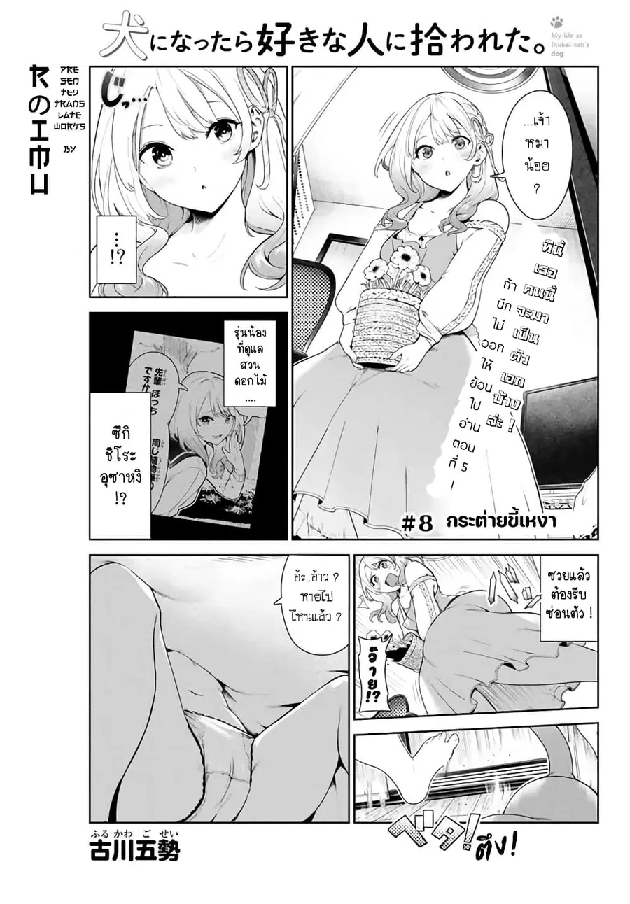 Inu ni Nattara Sukina Hito ni Hirowareta ตอนที่ 8 หน้า 1