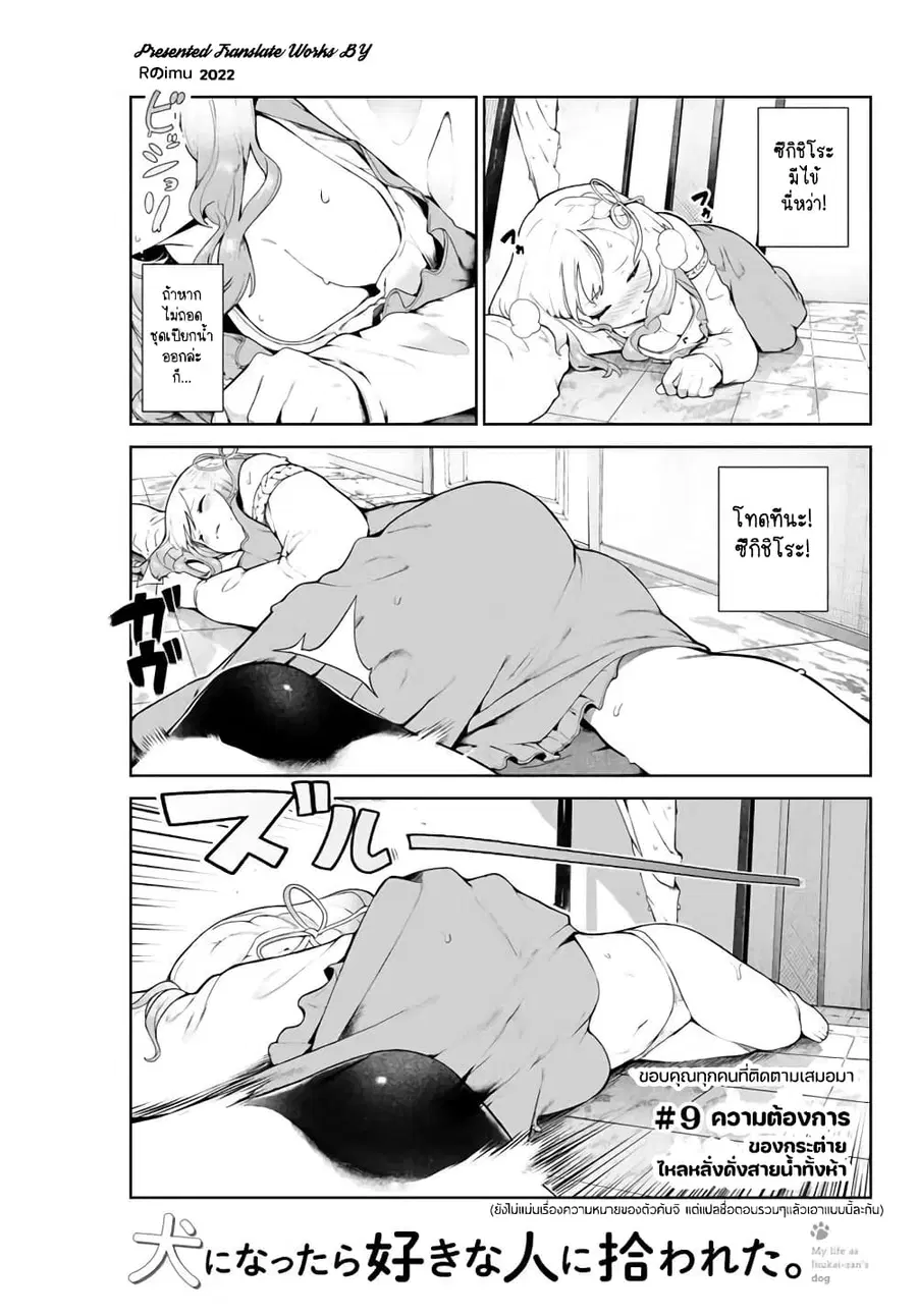 Inu ni Nattara Sukina Hito ni Hirowareta ตอนที่ 9 หน้า 2