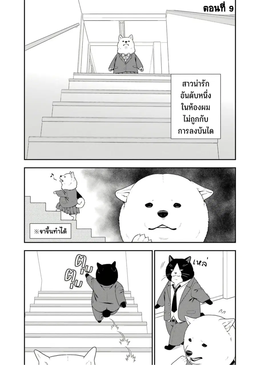 Inuta-san ตอนที่ 9 หน้า 1