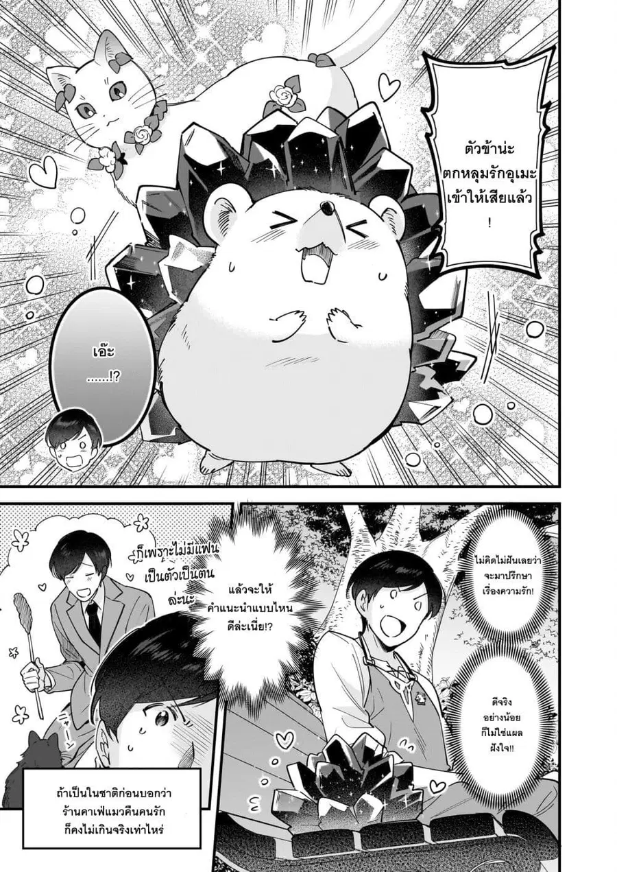 Isekai Mofumofu Cafe ตอนที่ 22 หน้า 3