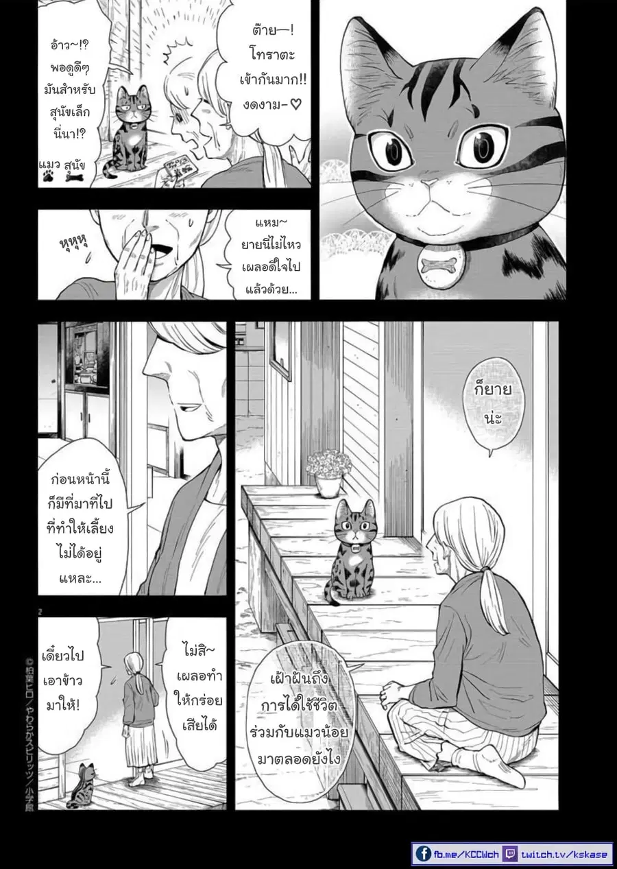 Isekai Neko to Fukigenna Majo ตอนที่ 6 หน้า 3