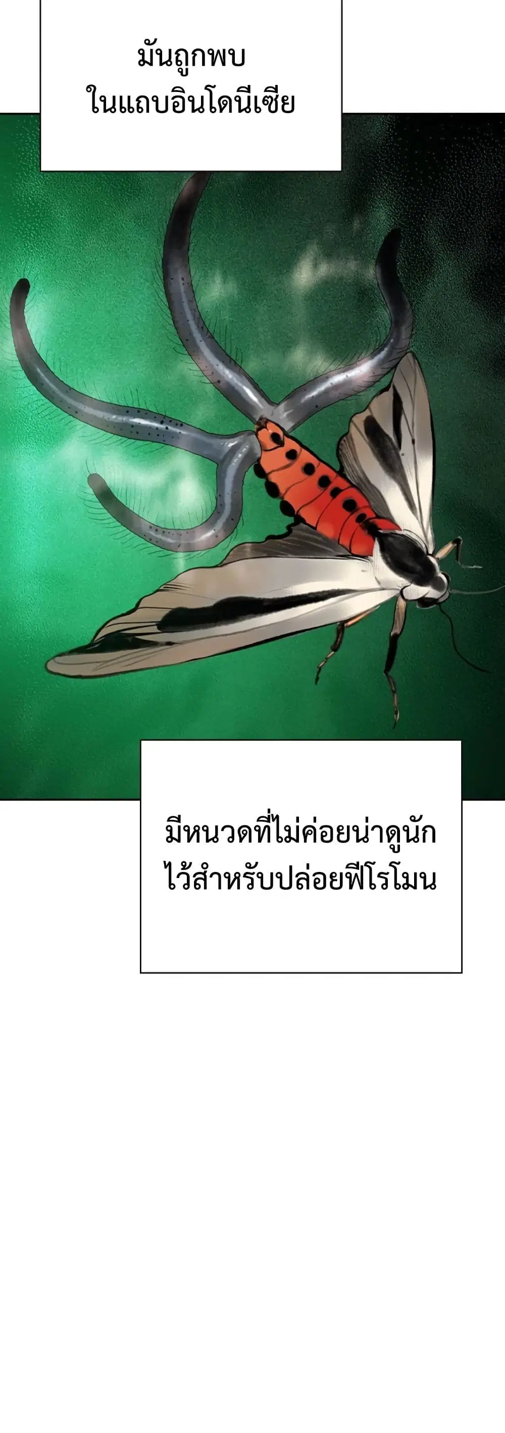 Jungle Juice SS2 ตอนที่ 25 หน้า 2
