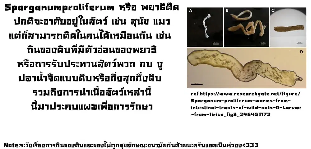 Juujika no Rokunin ตอนที่ 138 หน้า 2