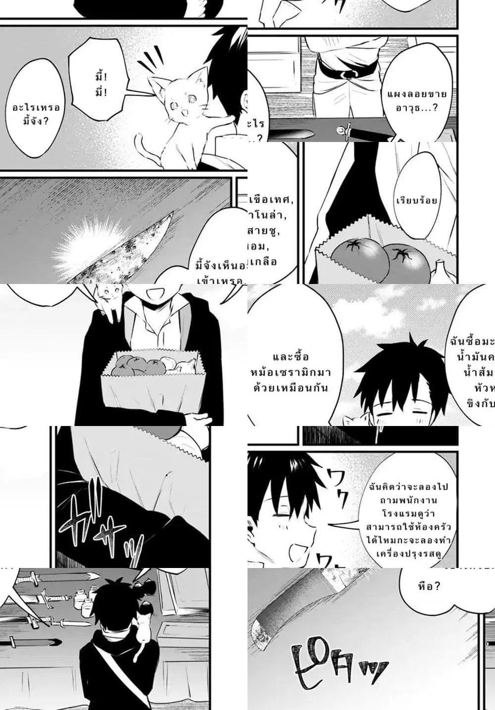 Kami Neko Mii-chan to Neko Youhin Shoukanshi no Isekai Funtouki ตอนที่ 2 หน้า 3