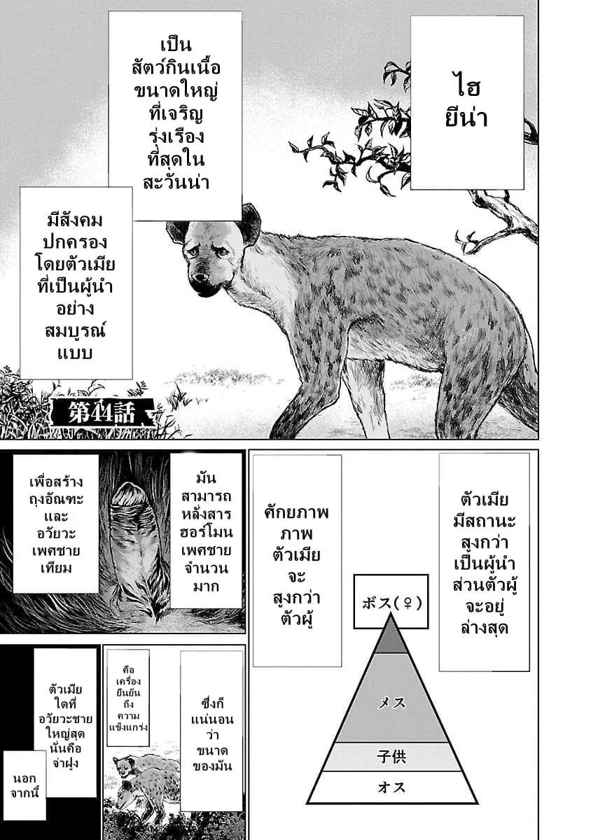 Killing Bites ตอนที่ 44 หน้า 2