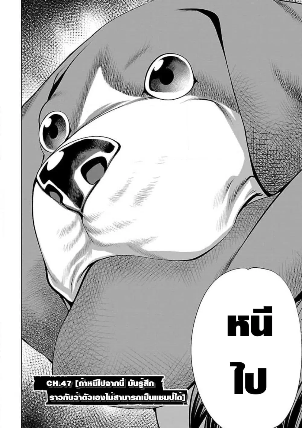 Killing Bites ตอนที่ 47 หน้า 3