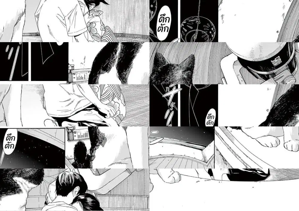 Kimi wa Houkago Insomnia ตอนที่ 27 หน้า 2