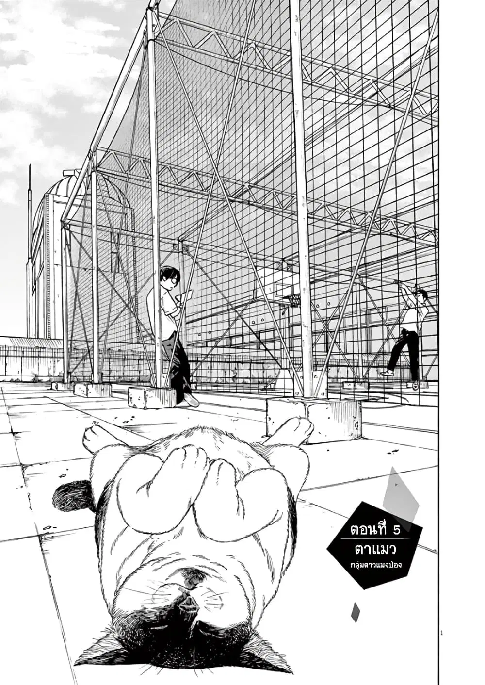 Kimi wa Houkago Insomnia ตอนที่ 5 หน้า 1