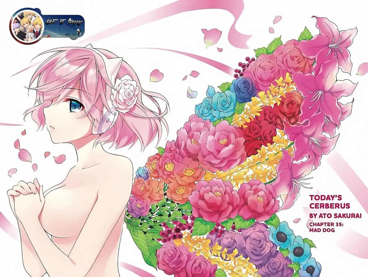 Kyou no Cerberus ตอนที่ 35 หน้า 3