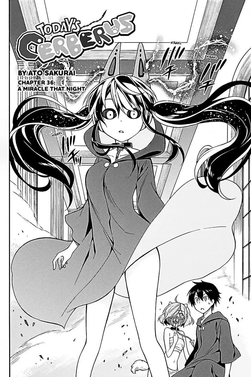 Kyou no Cerberus ตอนที่ 36 หน้า 3
