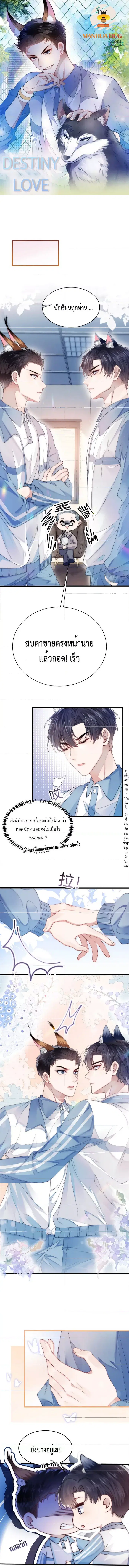 Little Cat Big Love ตอนที่ 1 หน้า 1