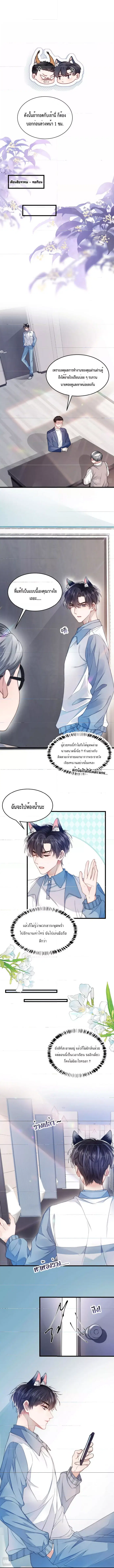Little Cat Big Love ตอนที่ 1 หน้า 2