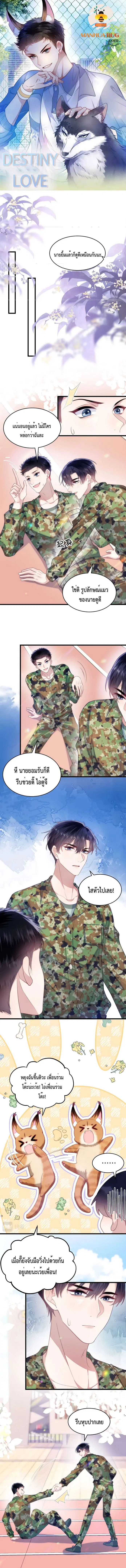 Little Cat Big Love ตอนที่ 12 หน้า 1