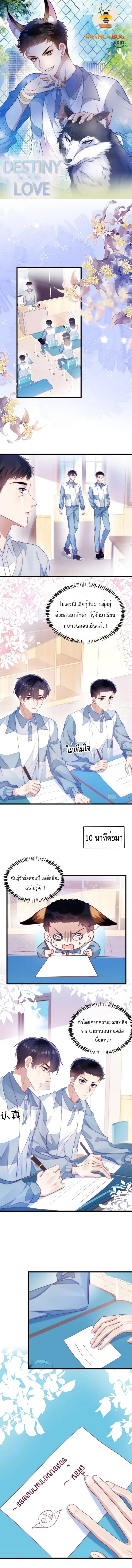 Little Cat Big Love ตอนที่ 14 หน้า 1