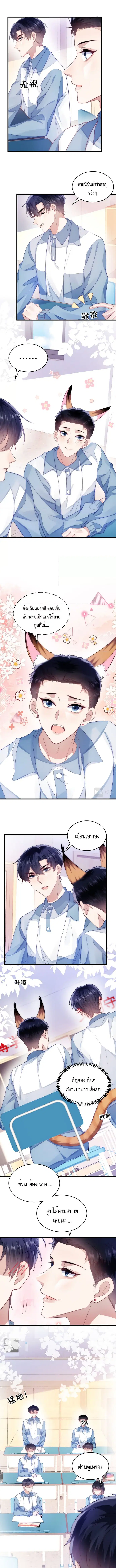 Little Cat Big Love ตอนที่ 14 หน้า 2