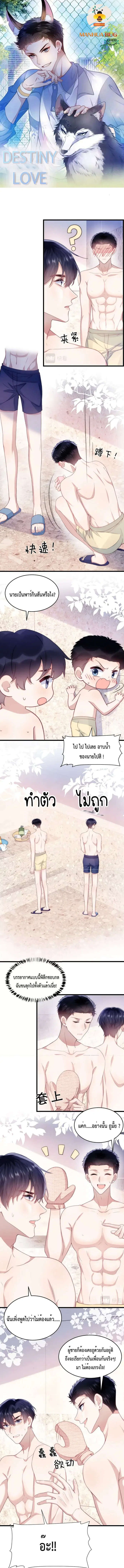 Little Cat Big Love ตอนที่ 16 หน้า 1