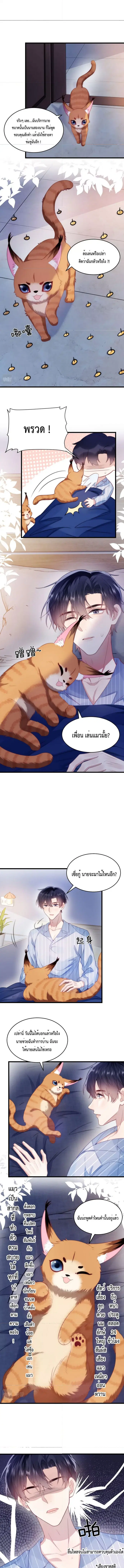 Little Cat Big Love ตอนที่ 16 หน้า 3
