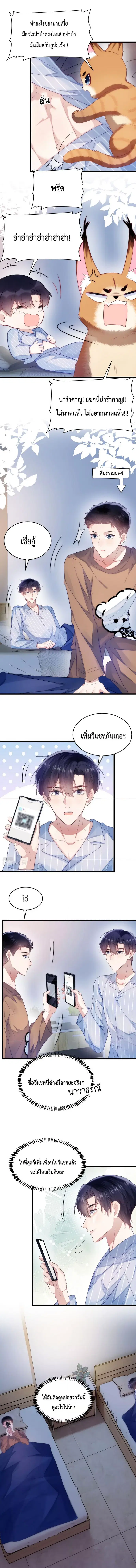 Little Cat Big Love ตอนที่ 17 หน้า 2
