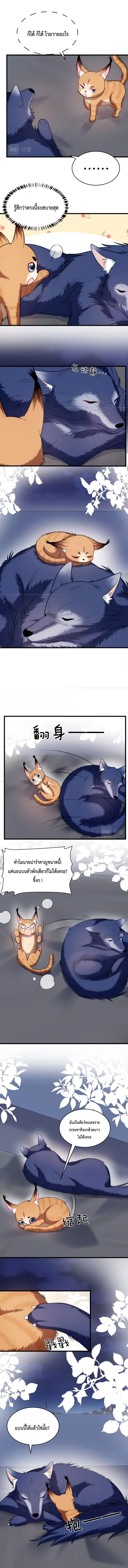 Little Cat Big Love ตอนที่ 19 หน้า 2